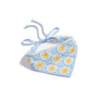 Daisy Daze Crochet Bandana